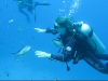Frederike playing with little fishies